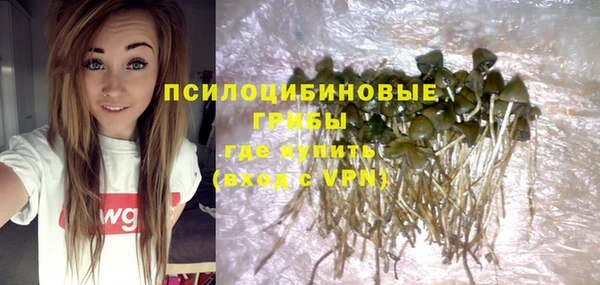 амф Вязники