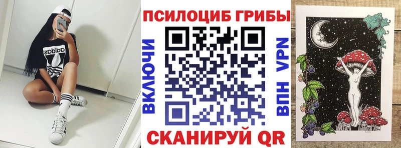 Галлюциногенные грибы MAGIC MUSHROOMS  Зима 